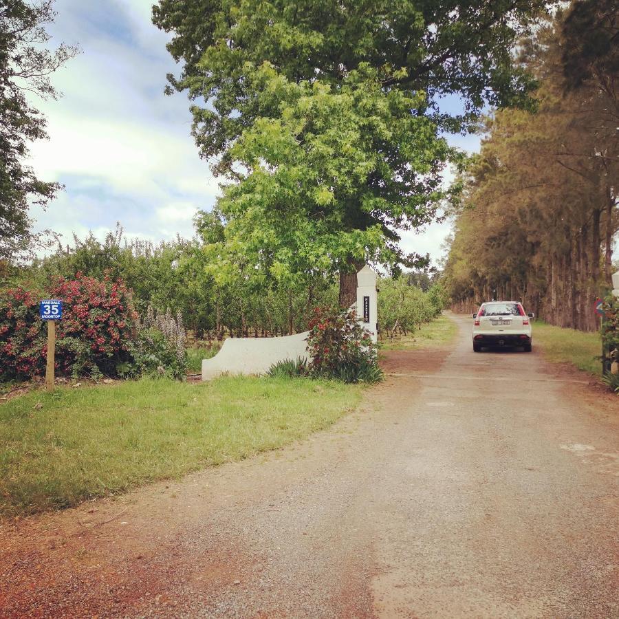 Moortop Cottages Elgin  Εξωτερικό φωτογραφία